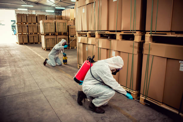 Best Best Pest Control Companies  in Three Rivers, MI