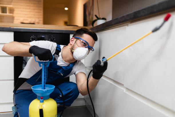Best Pest Removal Services  in Three Rivers, MI