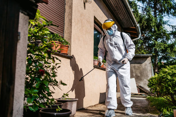 Best Affordable Pest Control Services  in Three Rivers, MI