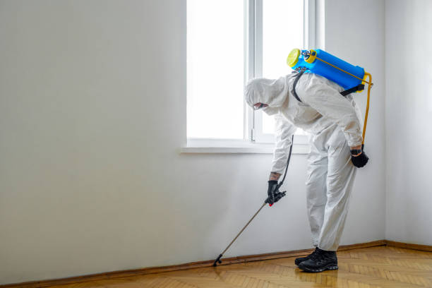 Reliable Three Rivers, MI Pest Control Solutions