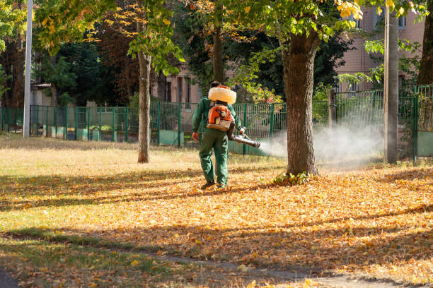 Pest Control Cost in Three Rivers, MI