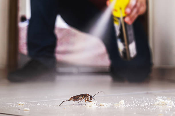 Best Mosquito Control Services  in Three Rivers, MI