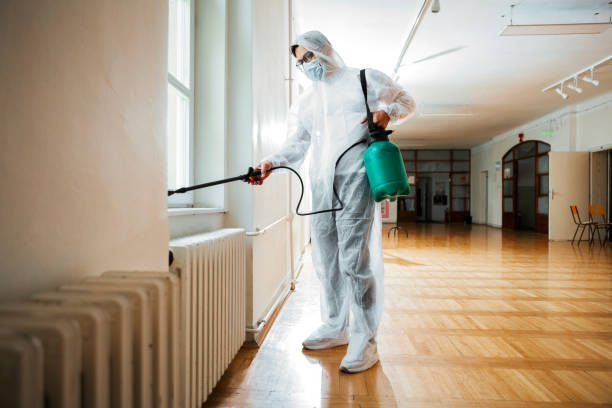 Best Bed Bug Extermination  in Three Rivers, MI