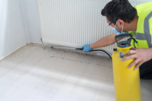 Best Pest Control Cost  in Three Rivers, MI