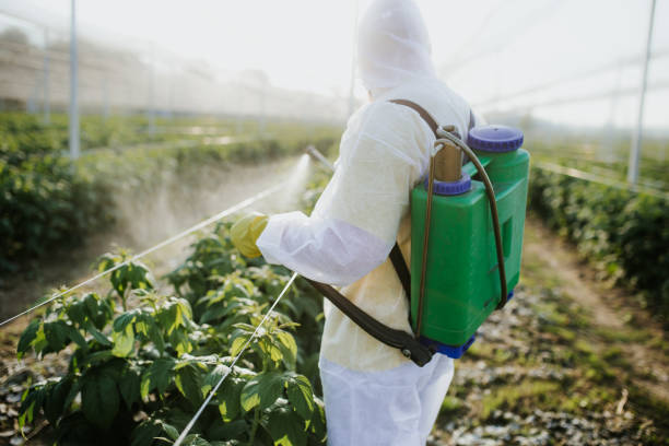Best Wasp Removal Services  in Three Rivers, MI